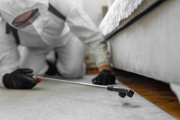Professional Cockroach Control technician working in New Egypt, NJ