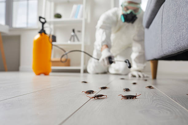Affordable Cockroach Control solutions in New Egypt, NJ